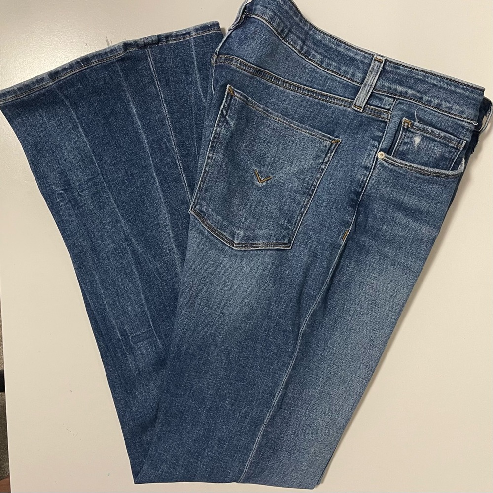 Hudson Holly Jeans - Flare Gravity Wash & Distressed - Size 30 Tall
